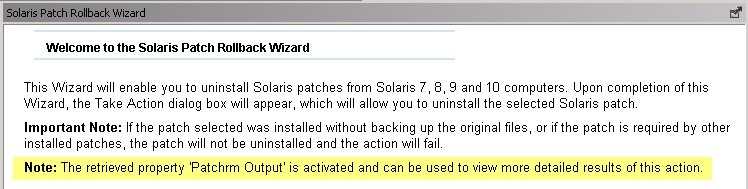 Retrieved property shown in the Solaris Patch Rollback Wizard