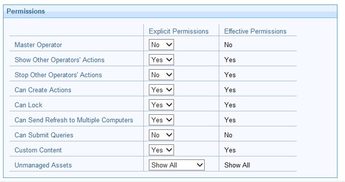 This window displays the Console Operator permissions that you can define in the details tab