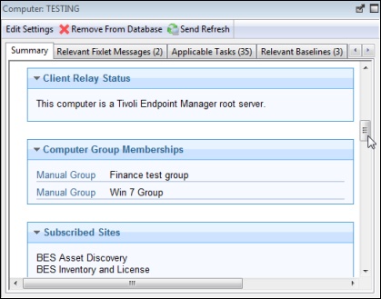 This window displays the Summary tag under which the Client Relay Status, Computer Group Memberships and Subscribed Sites information is displayed.