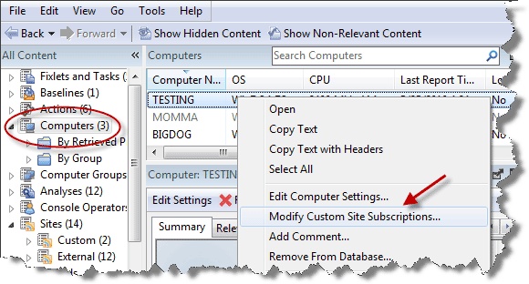 This window displays the Domain Panel navigation tree where the Computers tab is circled on the left hand side of the panel. On the right hand side of the panel the option Modify Custom Site Subscriptions is selected.