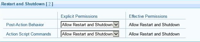 This window displays the Console Operator permissions to run restart and shutdown that you can define in the details tab