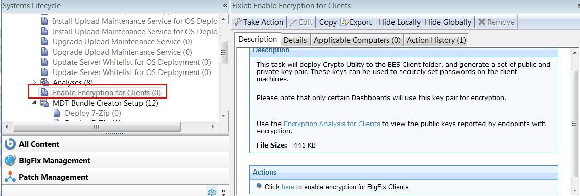 Enable Encryption for Clients fixlet must be run on the relay before installing the Bare Metal Server.