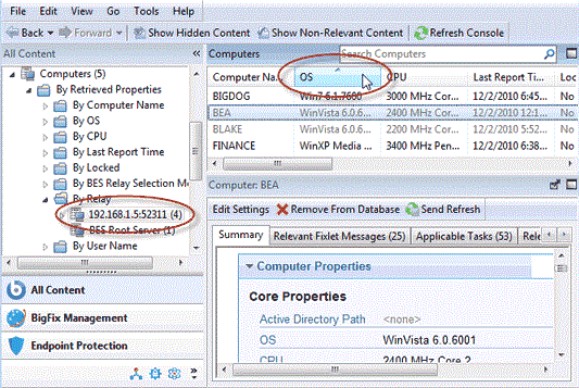 This window displays the Computers icon in the Domain Panel navigation tree. It also displays By Retrieved Properties icon in the navigation tree under the Computers icon.