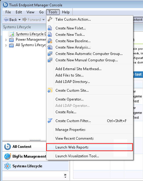 Selecting Launch Web Reports from the Tools dropdown menu