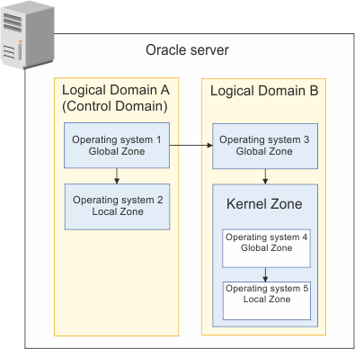 Oracle server logical domains