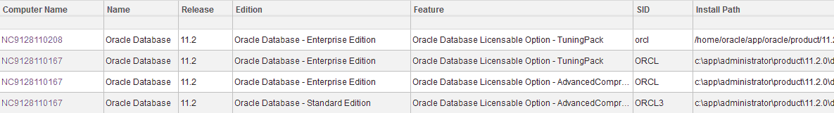 Oracle Databases report.