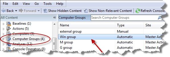 This window displays the Computer Groups icon circled in the domain panel navigation tree. It also displays a list of Computer Groups.