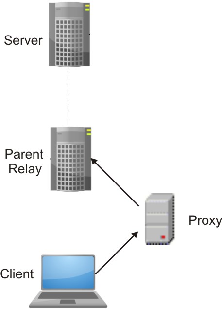 The image shows a configuration where a proxy is used to allow a relay to communicate with a client