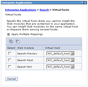 Search application virtual host mappings