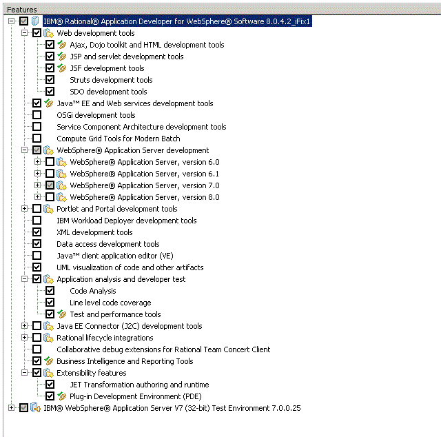 Example of the listed features being selected during a Rational Application Developer installation