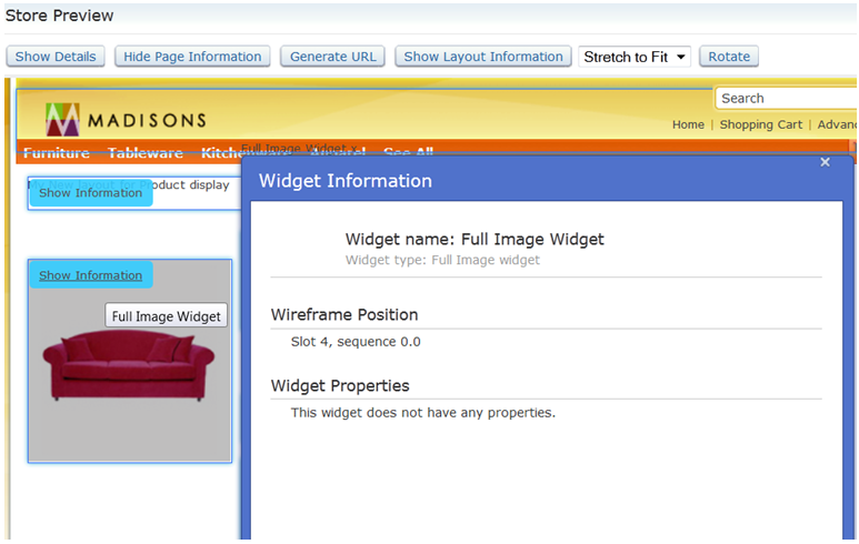 Product Details page preview with Widget Information window.