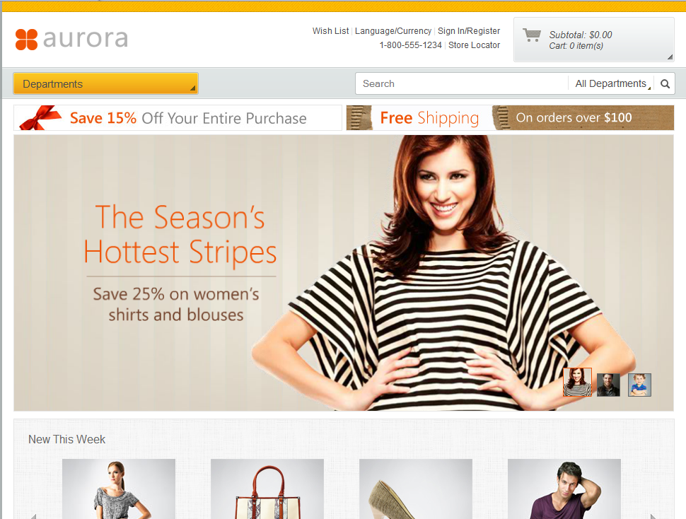 Screen capture of Aurora starter store home page