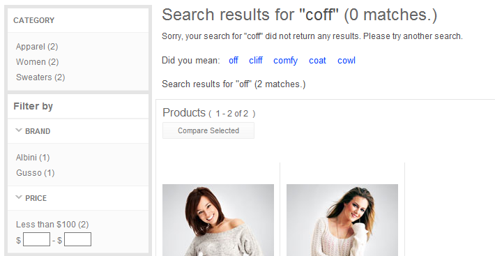 Captura de pantalla para sugerencias de términos de búsqueda automáticas y corrección ortográfica