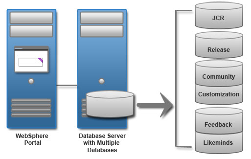 Database topology for a remote database server with multiple database instances.