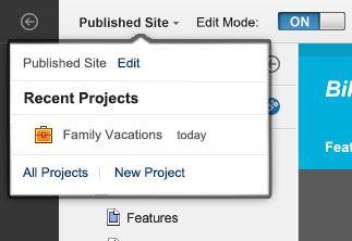 Screen capture of the project menu.