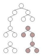 This image represents a model source as a large tree structure where a parent node has multiple children nodes.