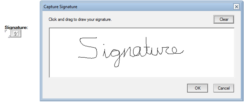 capture signature feature