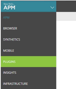 S=PLUGINS option from the APM menu