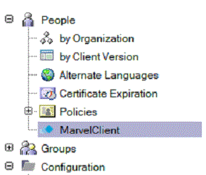 MarvelClient configuration view in the Domino directory