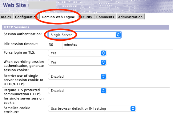 Screenshot of Domino Web Engine tab