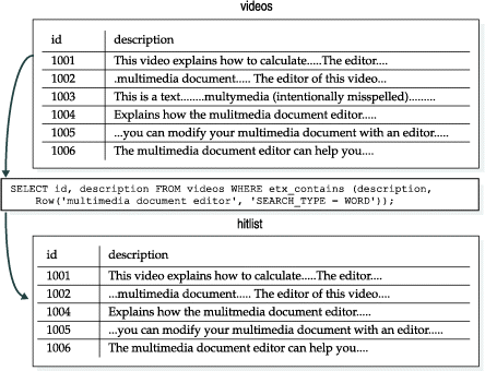 Shows the use of the SEARCH_TYPE tuning parameter for single words. The hitlist from the videos table is the rows that contain the single words: "multimedia," "document," and "editor."