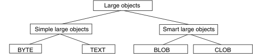Labelled rectangles depict the logical hierarchy of Large-object data types. The Simple large objects include BYTE and TEXT data types. The Smart large objects include BLOB and CLOB data types. End figure description