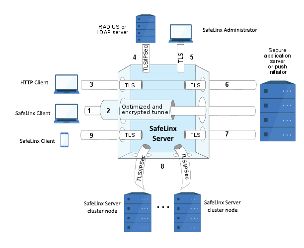 The figure depicts the options that you can use to secure communications with the SafeLinx Server.