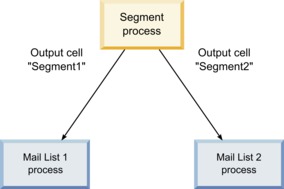 Example of a Segment process that outputs two cells