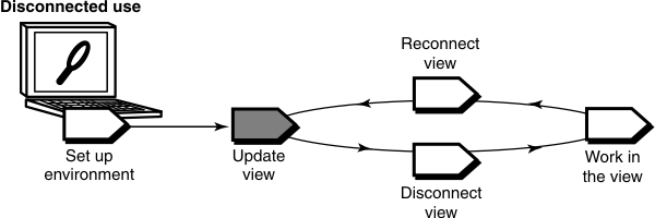 The update view task of the disconnected use workflow follows the set up environment task and precedes the disconnect view task.