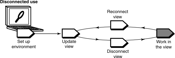 The work in the view task of the disconnected use workflow follows the disconnect view task and precedes the reconnect view task.