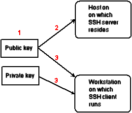 Public-private key pair