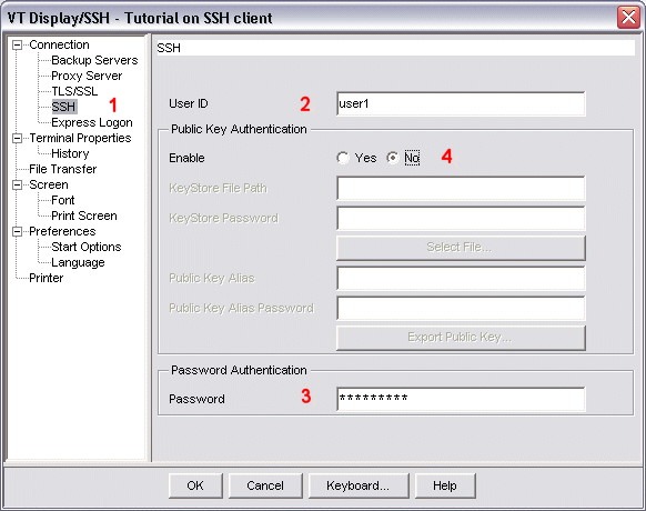 SSH configuration window